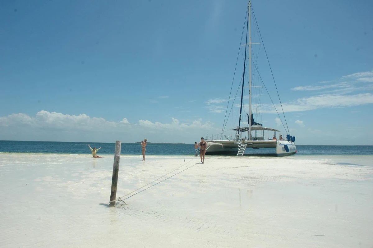 Tour en catamaran 